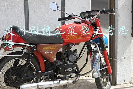 厦门园博苑(2022春节假期，厦门园博苑景区，累计接待游客21.68万人次)
