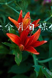 运营一个月自媒体不赚钱