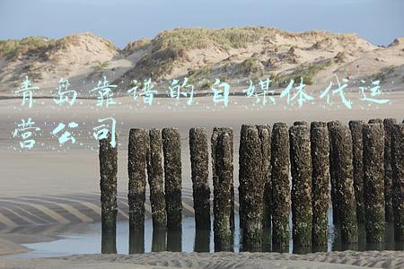 青岛靠谱的自媒体代运营公司