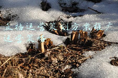 直播运营策划方案推广运营策略