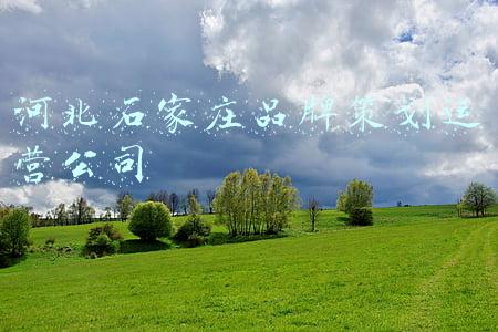 石家庄营销策划公司排名(石家庄十大品牌推广公司排名)