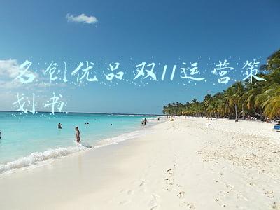 名创优品双11运营策划书