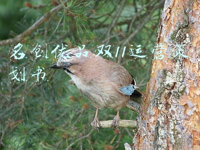 名创优品双11运营策划书