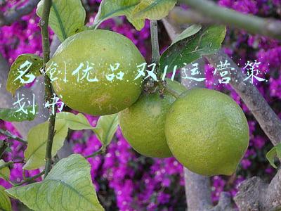 名创优品双十一活动(第二财季营收和利润双增，名创优品加速新零售探索)