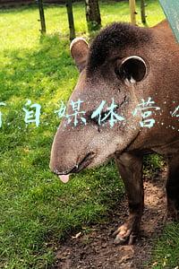 运营商自媒体营销策略