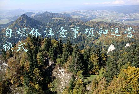 自媒体注意事项和运营模式