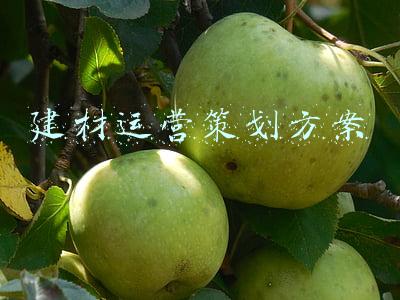 建材运营策划方案