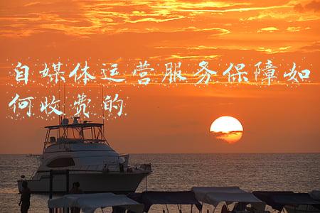 自媒体运营怎么赚钱(依靠写作年入百万，关于自媒体赚钱，蒋老师有4个秘诀分享给你)
