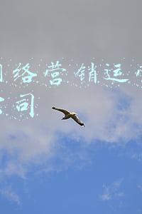 网络推广营销网(网络推广营销浅析网站在优化中流量突然减少了是为什么？)