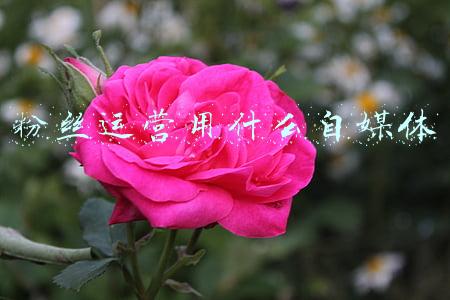 40万粉丝自媒体收入(农村小伙贷款百万买豪车拍视频，朋友担心还不上，后来他月入10万)