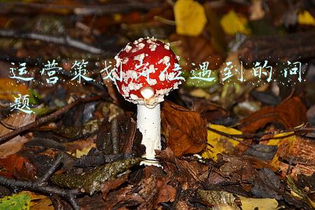 运营策划岗位遇到的问题