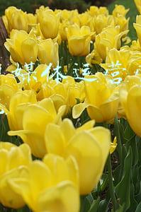 美食自媒体运营营销策略研究