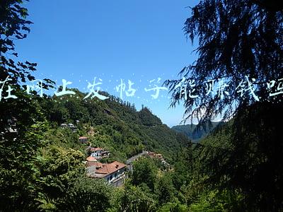 在网上发帖子能赚钱吗