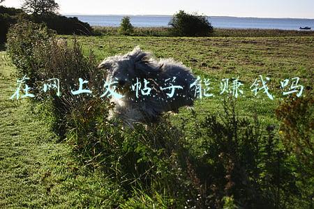 怎么在网上发帖子(如何做流量，热点文案去哪里找，如何蹭热点？)