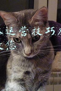 拓途数据(怎样获取微信公众号数据分析，拓途数据应该怎么用？)