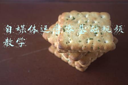 自媒体运营零基础视频教学