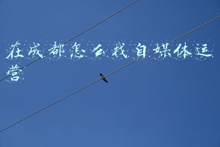 成都自媒体公司招聘(德阳人，新春找工作看这里！明天直播带岗 “职”等你来！)