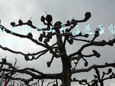 开淘宝网店能赚钱吗(现在开网店还赚钱吗？淘宝新手开店怎么盈利？)