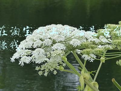 在淘宝网上开店要多少钱(淘宝开店费用介绍)