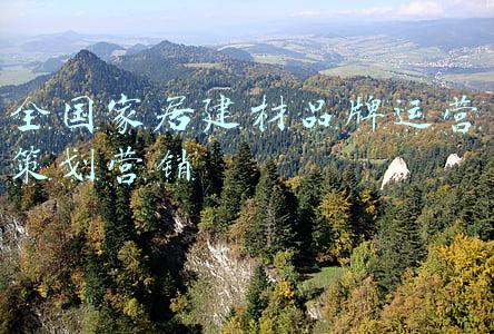 全国家居建材品牌运营策划营销