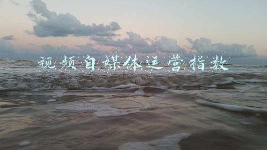 视频自媒体运营指数
