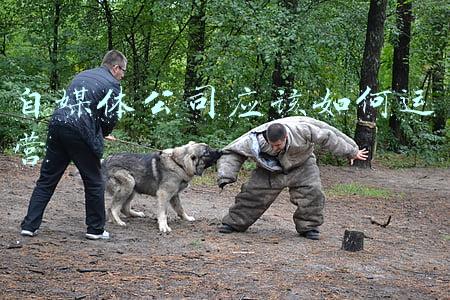 自媒体公司应该如何运营