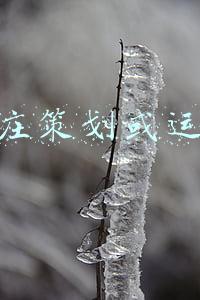 农庄策划(10亩小型生态农场规划怎么做？)