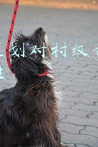 运营策划对村级旅游的重要性