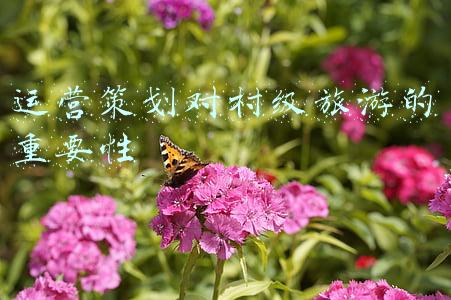 运营策划对村级旅游的重要性