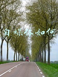 历史类自媒体(自媒体时代历史类创作者，如何避免最容易犯的两个错误？)