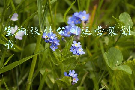 室内设计公司运营策划书