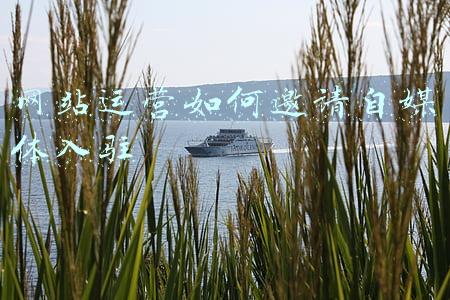 网站运营如何邀请自媒体入驻