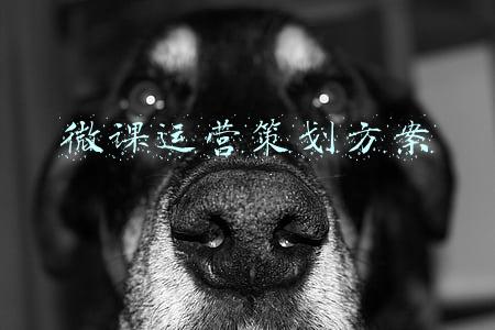 微课课程设计方案(小学数学微课教学设计两位数加一位数、整十数教学设计)