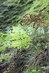 运营商销售(运营商通知：全员营销，暂不休假，否则影响年底绩效考核)
