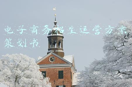 电子商务专业培养方案(面向未来该如何培养适合的跨境电商人才？)