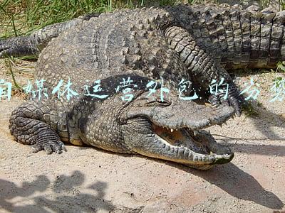 自媒体运营外包(选择长沙新媒体运营外包，这些难点轻松搞定)