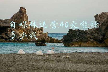 自媒体运营40天能赚多少钱