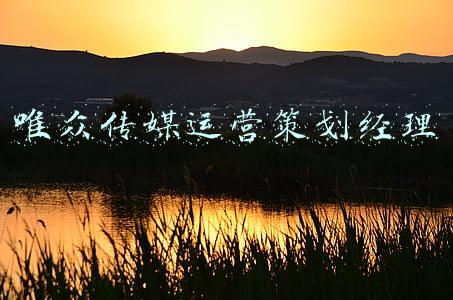 唯众传媒运营策划经理