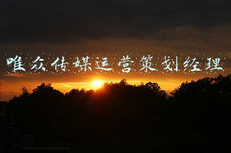 唯众传媒运营策划经理