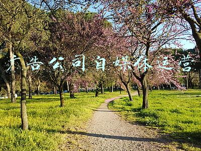 广告公司自我反思(广告公司2020年总结)