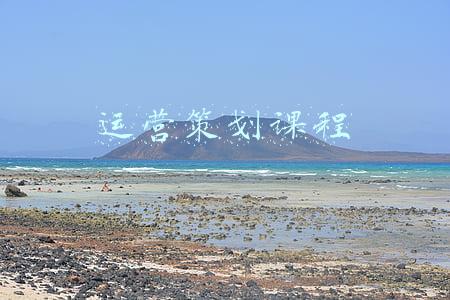 运营策划课程