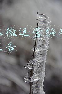 自媒体运营报告怎么写(内容爆款定制，自媒体小说突围的秘密)