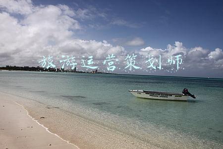 旅游运营策划师