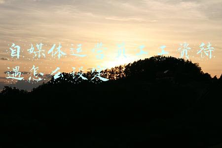 自媒体运营员工工资待遇怎么设定