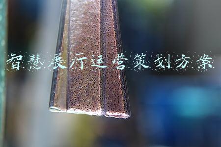 智慧展厅运营策划方案