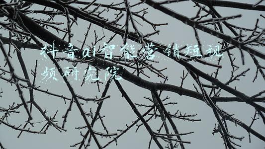 抖音ai智能营销短视频研究院