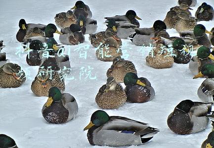 抖音ai智能营销短视频研究院