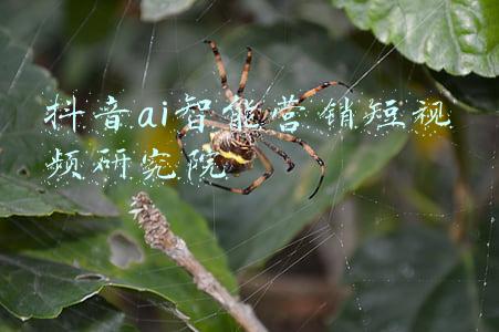 ai智能培训(技术进步带来的冲击——人工智能时代的劳工培训)
