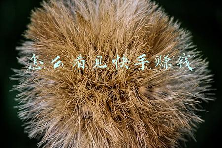 快手能看见访客记录吗(放不下社交的抖音，复活了“最近访客”功能)