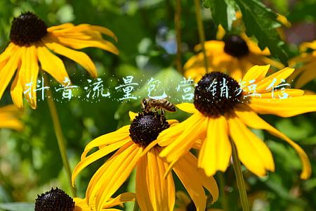抖音流量包营销短信
